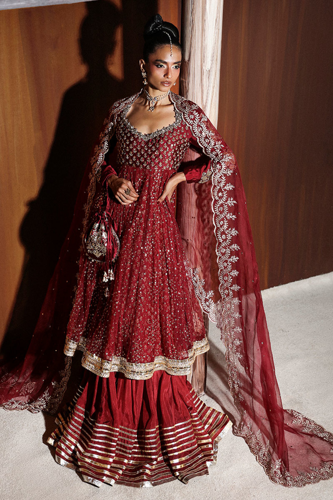 Picture of Bulbul